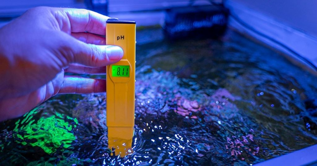 How often should I test my aquarium water?