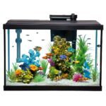 The Best Budget Aquarium Kits for Starters