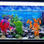 Latest Aquarium Trends in 2025 – What’s In & What’s Out