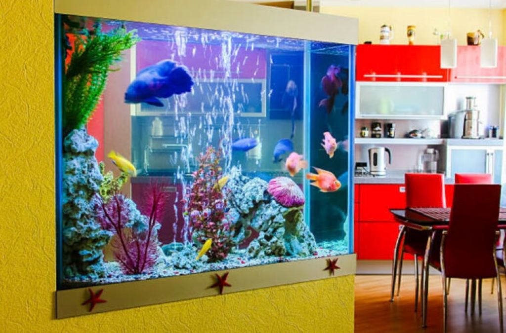 Can beginners try smart aquarium gear?