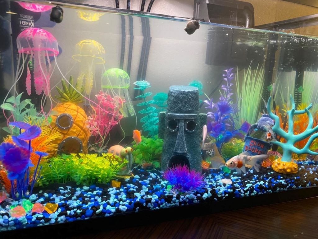 What’s the lifespan of a magnetic algae scraper?