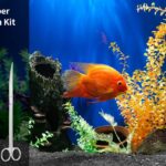 The Ohtomber Aquascape Tools Kit That Makes Plant Care a Breeze