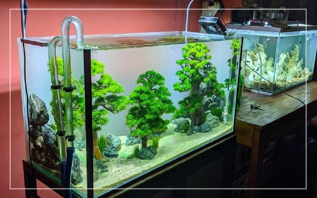 Can I remove the lid to stop fish tank top moisture entirely