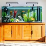 Aquarium Stand Weight Distribution Calculator: Build a Rock-Solid Base for Your Tank