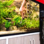 Aquarium Planting Tweezers Length Guide: Choose the Right Size for Stunning Aquascapes