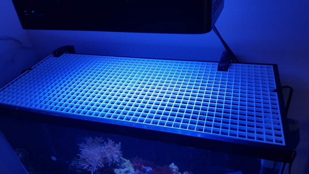Is black or white egg crate better for aquariums