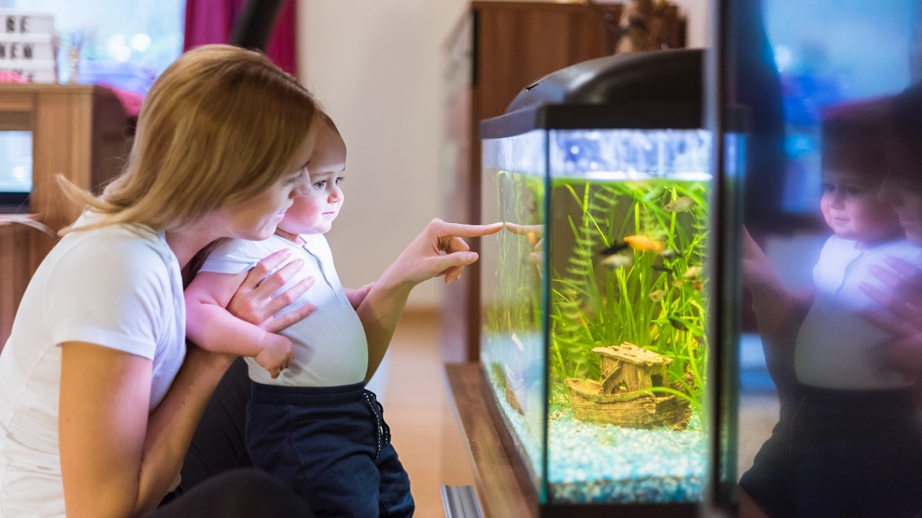 Can I Fix a Small Aquarium Crack Without Draining the Tank