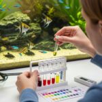 Aquarium Maintenance Routine After Introducing New Fish