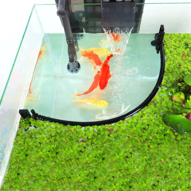 HOZOE aquarium floating plant corral preventing plants from entering filters and heaters
