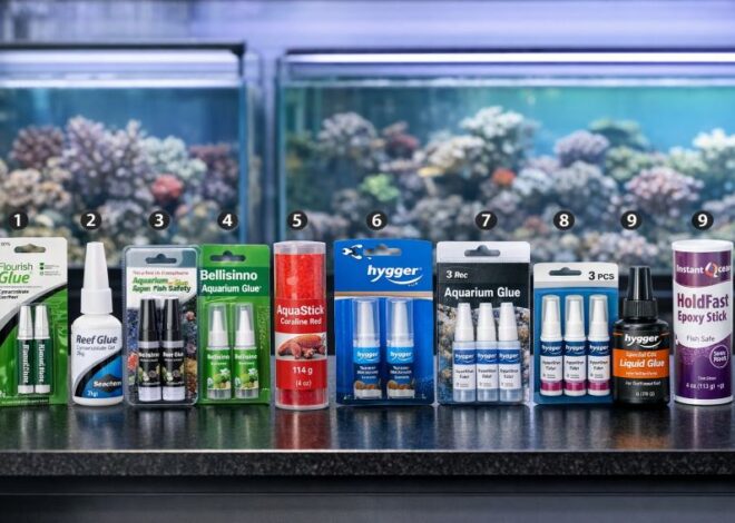 Best Aquarium Glue 2026: Worth It for Coral Mounting?