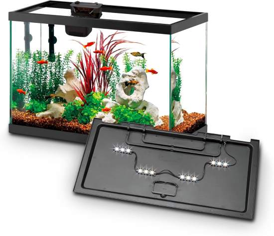 Aqueon Aquarium Fish Tank Starter Kit with SmartClean Technology