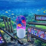Best Reef Aquarium Lighting Picks That Make Corals Pop