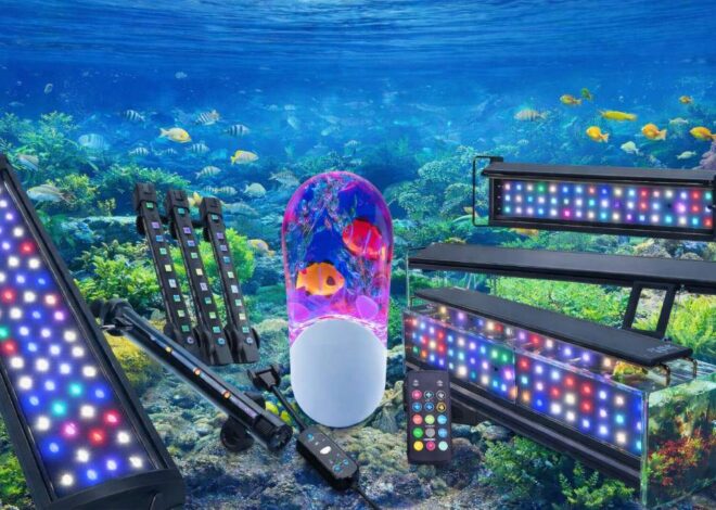 Best Reef Aquarium Lighting Picks That Make Corals Pop