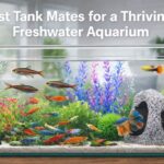 Best Tank Mates for a Thriving Freshwater Aquarium
