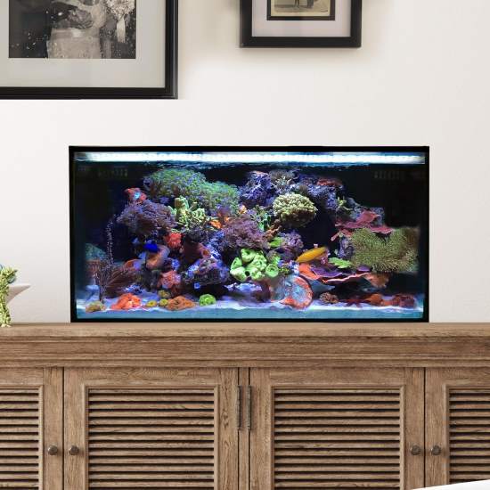Innovative Marine Nuvo Fusion 20 Pro 2 All in One Aquarium