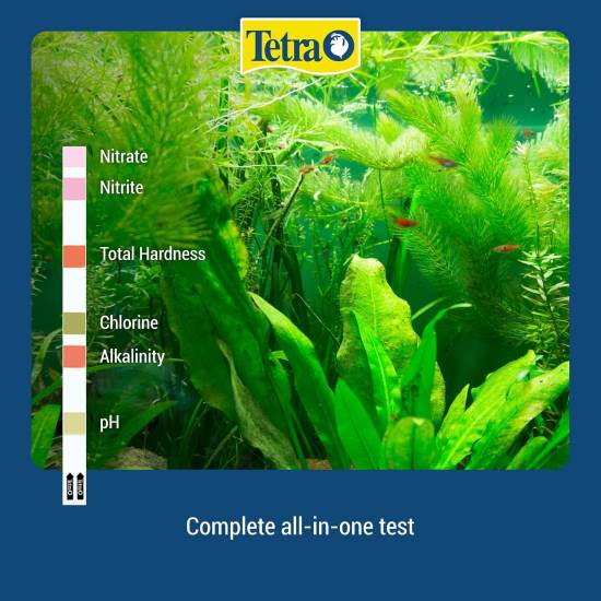 Tetra EasyStrips 6 in 1 Aquarium Test Strips