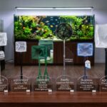 Which Aquarium Fish Net Is Best in Florida? Affordable Tools That Protect Delicate Fish Safely