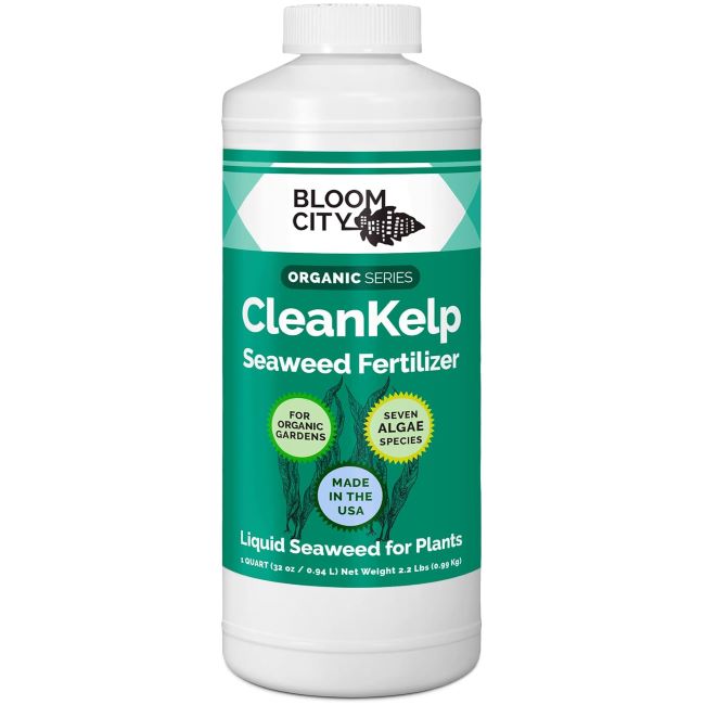 Seaweed and kelp liquid fertilizer for stronger roots and faster plant growth