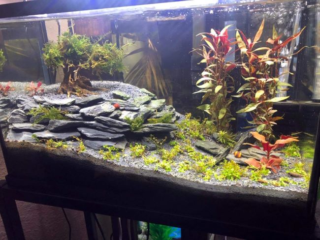 Voulosimi natural slate rocks pH neutral stones for aquarium decoration and aquascape design