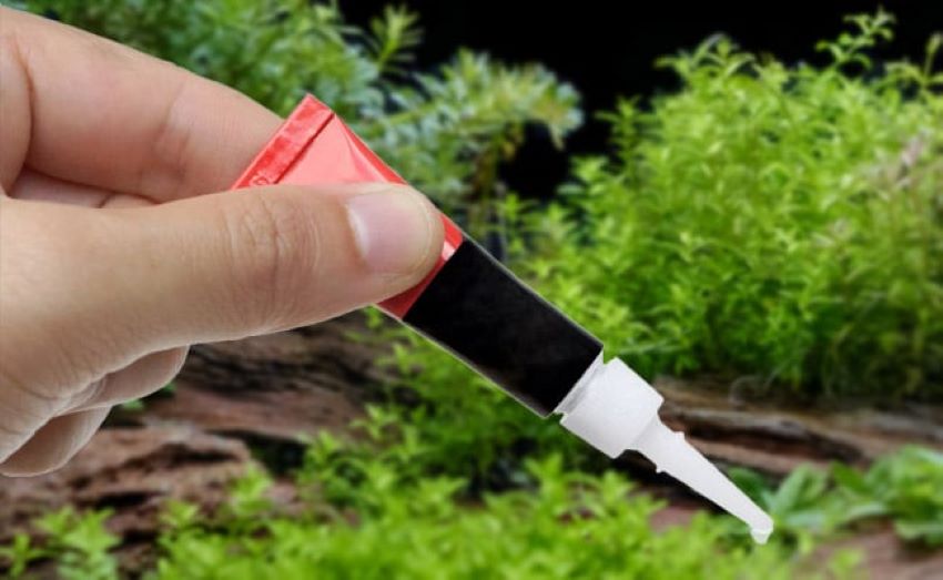 How to Use Aquarium Glue Safely for Plants and Decorations