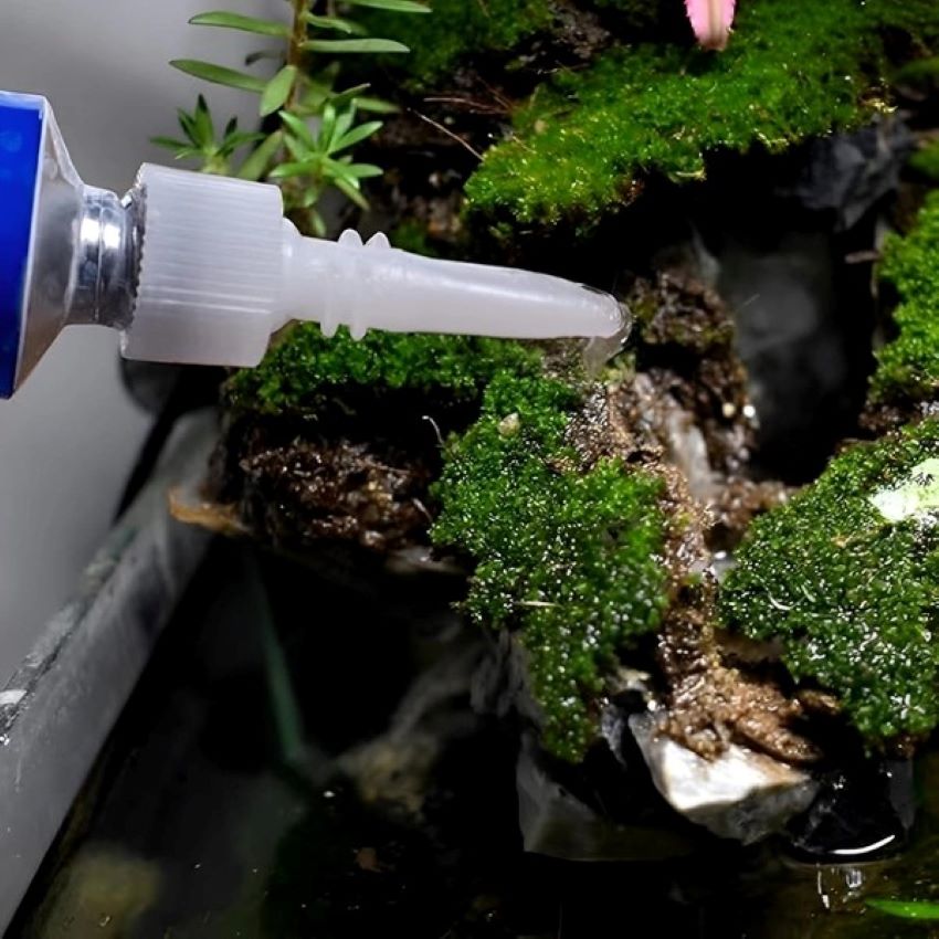 Aquarist applying aquarium glue to attach live plant to driftwood safely