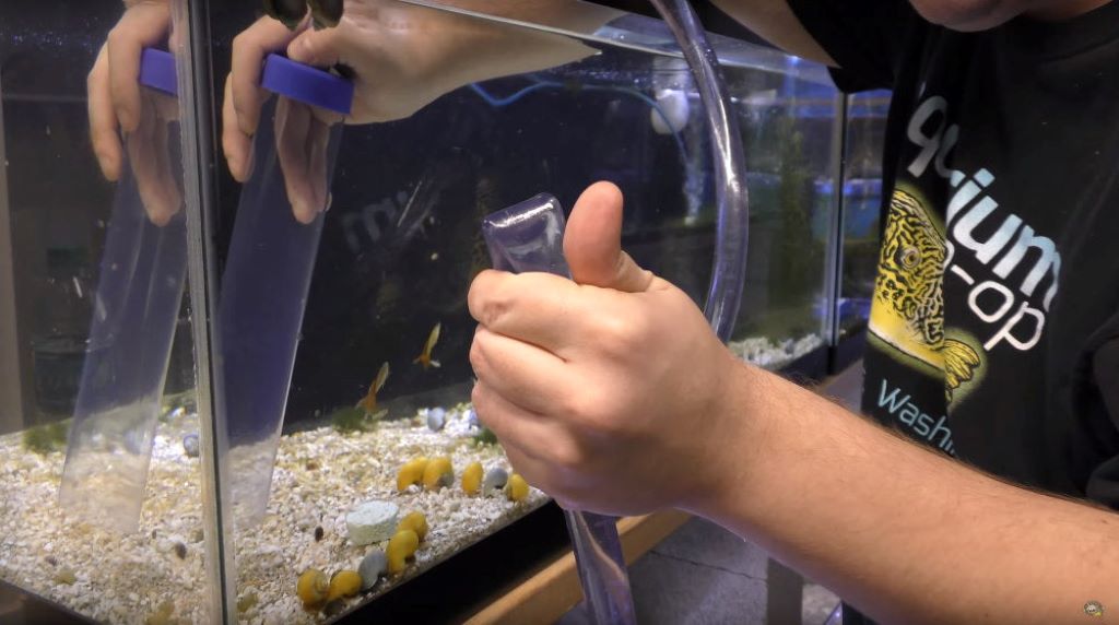 How to Use an Aquarium Gravel Cleaner for Easy Tank Maintenance