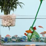 How to Choose the Right Aquarium Net for Safe Fish Handling