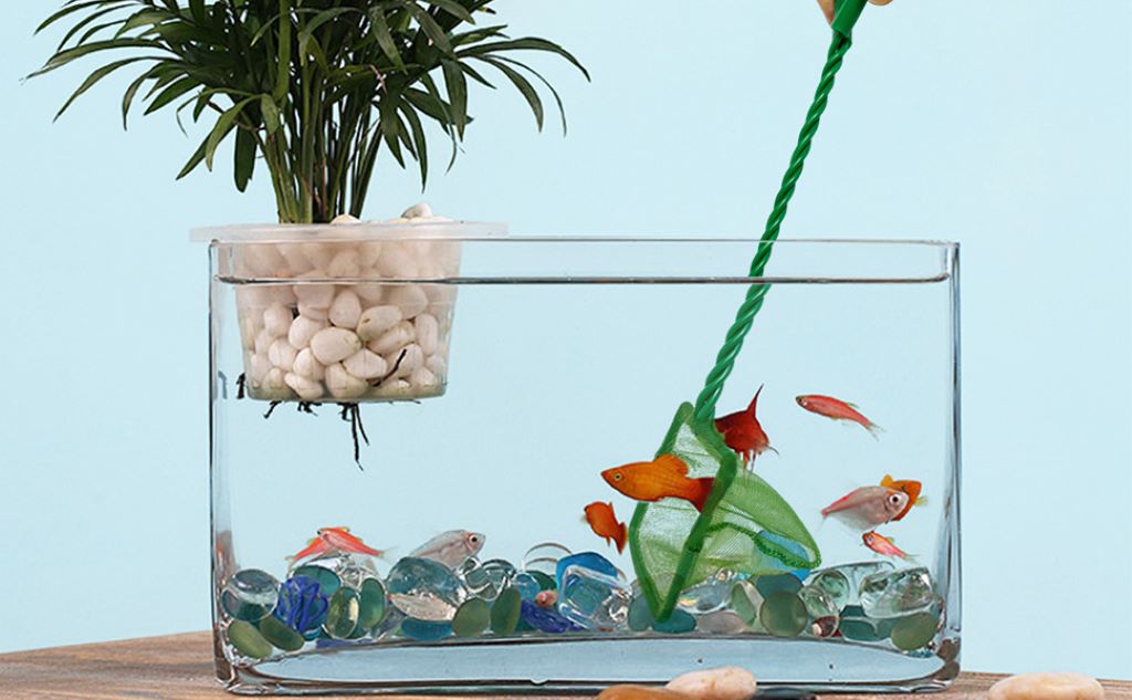 How to Choose the Right Aquarium Net for Safe Fish Handling