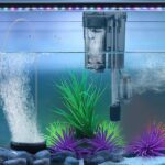 How to Choose the Best Aquarium Pump for Efficient Water Circulation