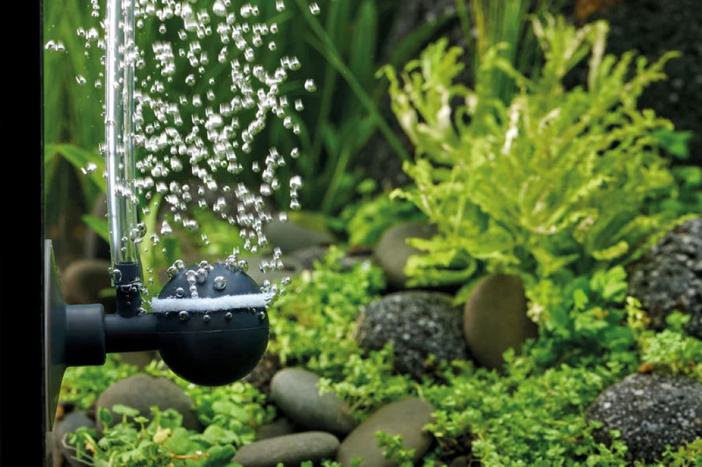 Fish tank filtration system with pump ensuring efficient water circulation and clean water