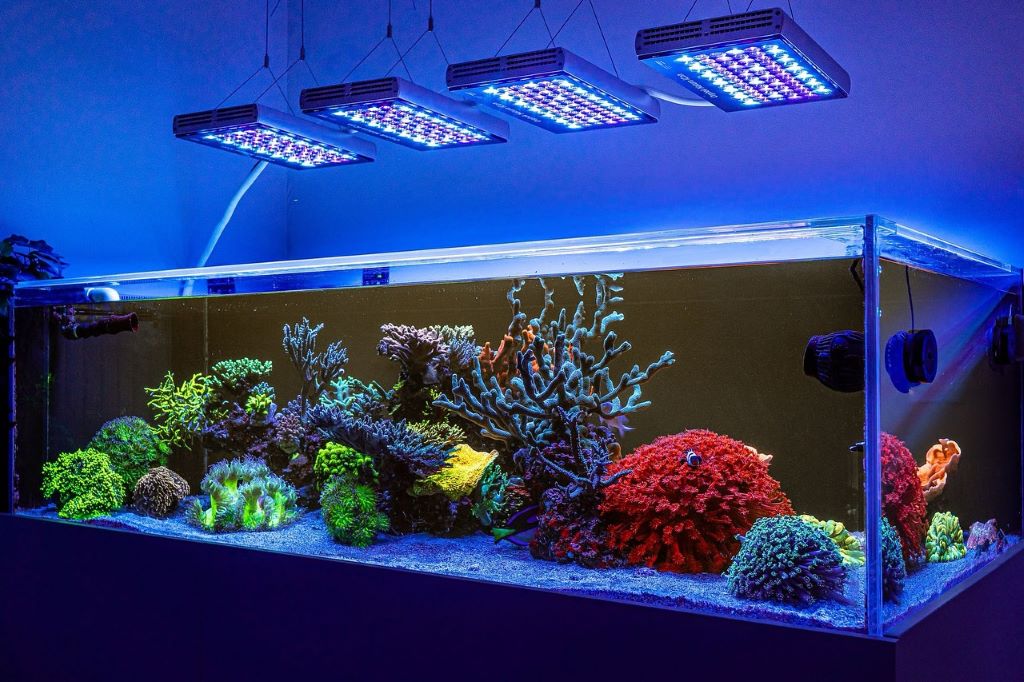 How to Choose the Best Reef Aquarium Light for Vibrant Coral Health