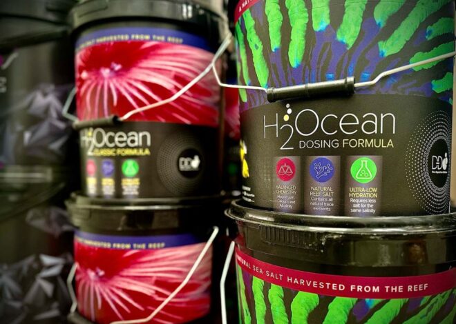 How to Select the Right Reef Aquarium Salt for Optimal Water Chemistry