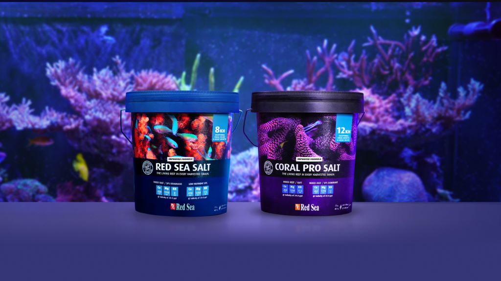 Aquarist preparing saltwater solution to maintain healthy reef tank conditions