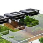How To Keep Aquarium Water Cool Using Fish Tank Cooling Fans