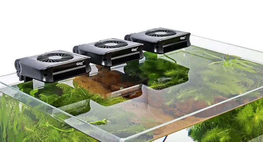 How To Keep Aquarium Water Cool Using Fish Tank Cooling Fans