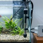 How To Choose the Right Aquarium Heater for Stable Fish Tank Temperature