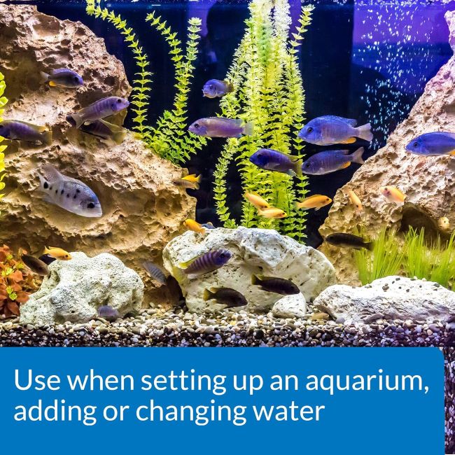API aquarium water conditioner being added to a fish tank to create a safe environment for aquatic life