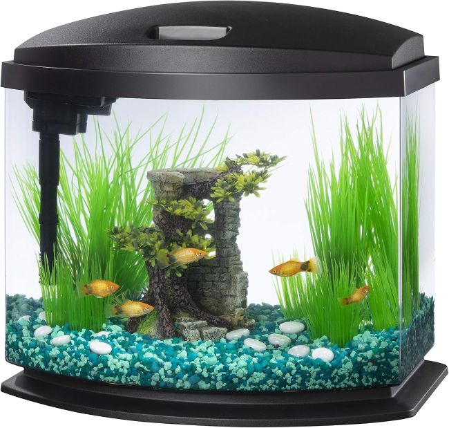 Affordable Aqueon MiniBow Desktop Fish Tank in North Carolina (NC): Could This Be Your Next Compact Aquarium Upgrade?