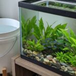How to Dose API Tap Water Conditioner