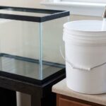How to Use Seachem Prime Water Conditioner