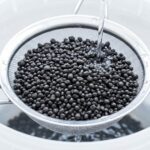 How to Set Up Fluval Plant and Shrimp Stratum