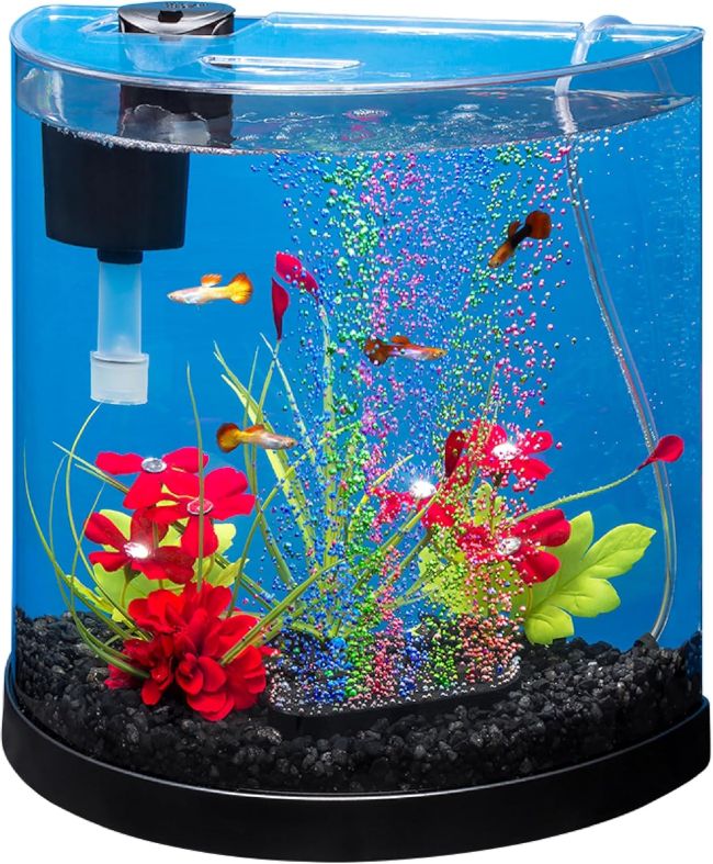 Best Tetra Half-Moon 3-Gallon Fish Tank in Illinois (IL): Is This Starter Aquarium Kit Worth Buying?