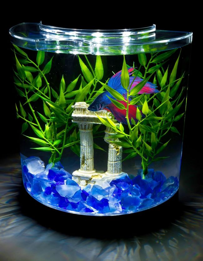 Tetra compact betta fish tank with starter setup for small spaces
