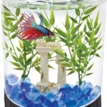 Best Tetra 1.1-Gallon Betta Aquarium Kit in Georgia (GA): Is It a Smart Choice for Beginners Looking for a Compact Setup?
