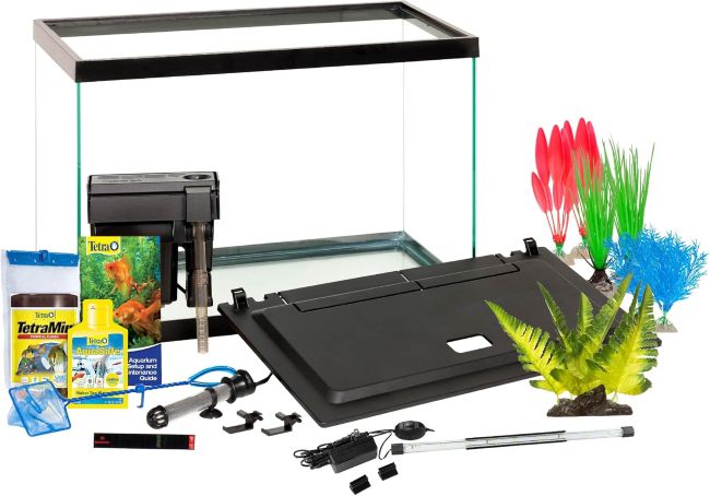 Affordable Tetra 20 Gallon Complete Tropical Fish Tank Kit in Florida (FL): Does the 20-Gallon Size Offer More Flexibility for Fishkeeping?