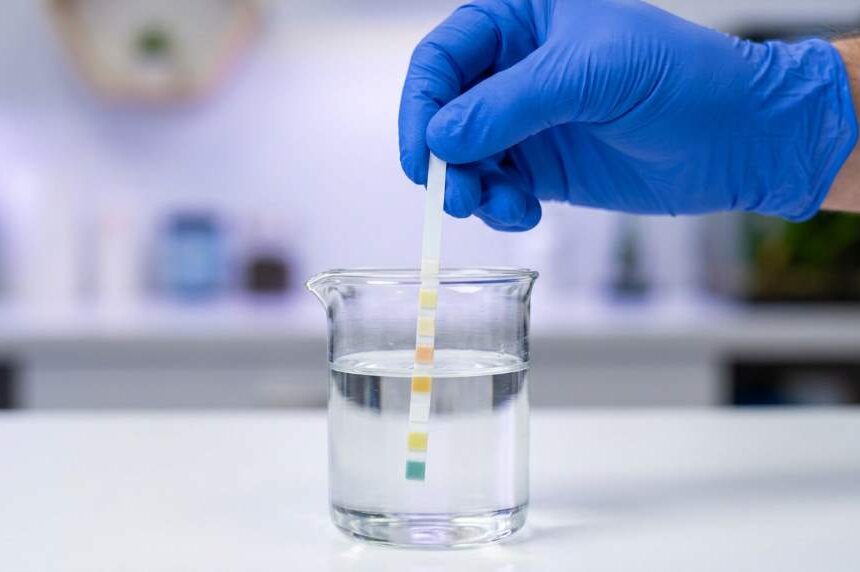 How to Use AAwipes 8-in-1 Aquarium Test Kit