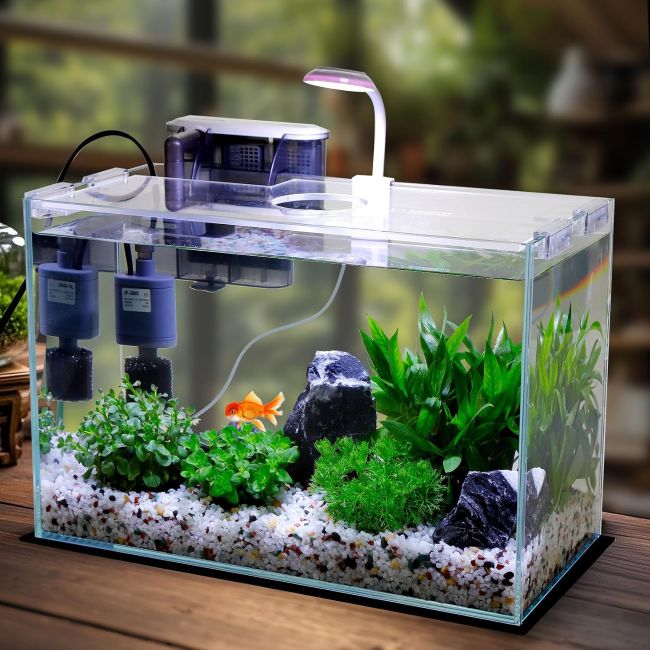 Affordable Vimvins small glass aquarium for compact home fish setups