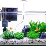 Affordable Vimvins Small Fish Tank in Ohio (OH): Why Are Beginners Choosing This 3-Gallon Glass Aquarium?