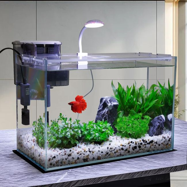 Vimvins 3-gallon aquarium designed for beginner-friendly fish keeping in Ohio homes