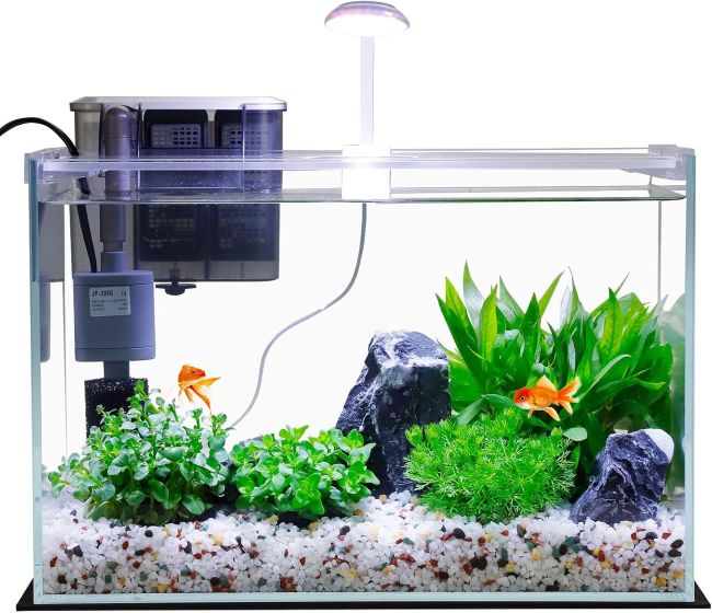Affordable Vimvins Small Fish Tank in Ohio (OH): Why Are Beginners Choosing This 3-Gallon Glass Aquarium?